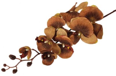 Storczyk orchidea gałązka 107 cm