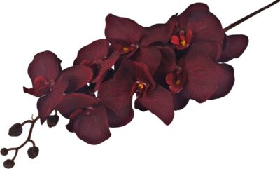 Storczyk orchidea gałązka 107 cm