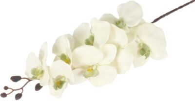 Storczyk orchidea gałązka 107 cm