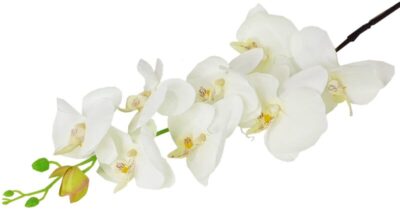 Storczyk orchidea gałązka 8 kwiatów 104cm