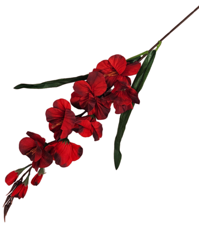 Mieczyk gałązka 75 cm