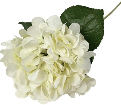 Hortensja 65 cm