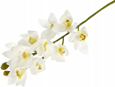 Storczyk orchidea gałązka 75 cm 10 kwiatów
