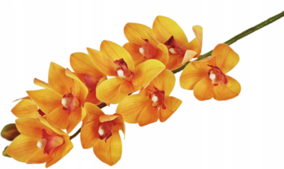 Storczyk orchidea gałązka 75 cm 10 kwiatów