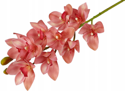 Storczyk orchidea gałązka 75 cm 10 kwiatów