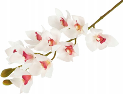 Storczyk orchidea gałązka 75 cm 10 kwiatów