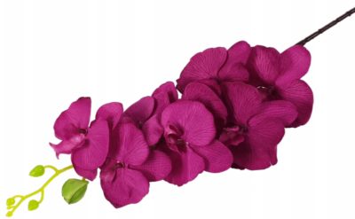 Storczyk orchidea gałązka 8 kwiatów 104 cm fuksja