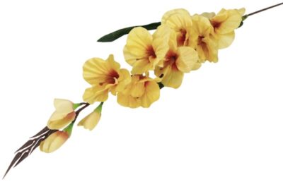 Mieczyk gałązka 75 cm