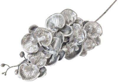 Storczyk SILVER