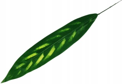 Liść DŁ01 zestaw 12 szt (x0,80)