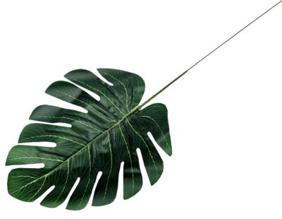 LIŚĆ MONSTERA S02 ZESTAW 12 SZTUK