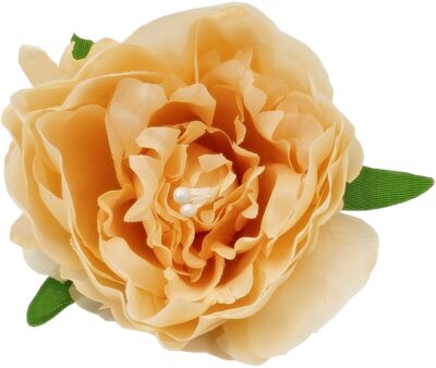 Peonia piwonia K01