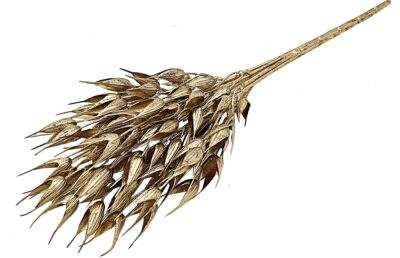 BUKIECIK DEKORACYJNY OWIES ZŁOTY