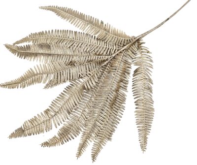 BUKIET LIŚCI PAPROTKI BEŻOWY