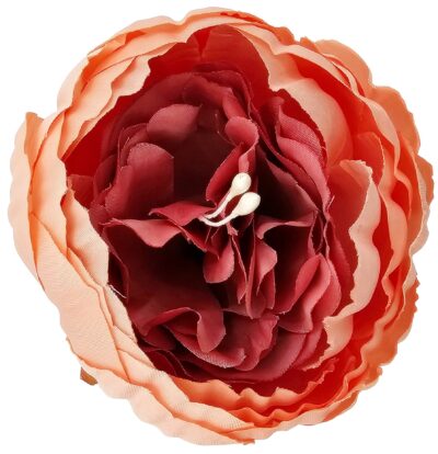 Peonia KPN02