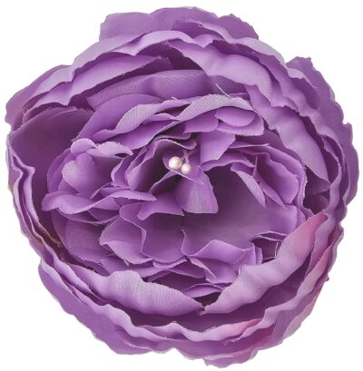 Peonia KPN02
