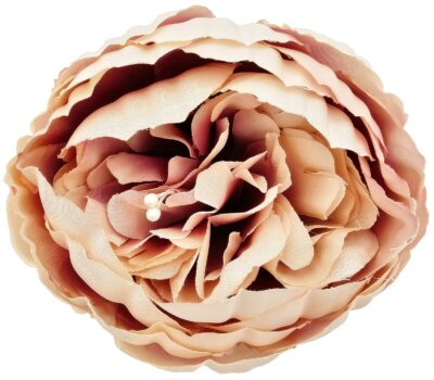 Peonia KPN02