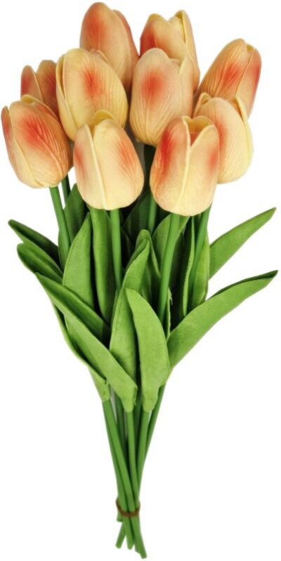 Bukiet Tulipanów x10