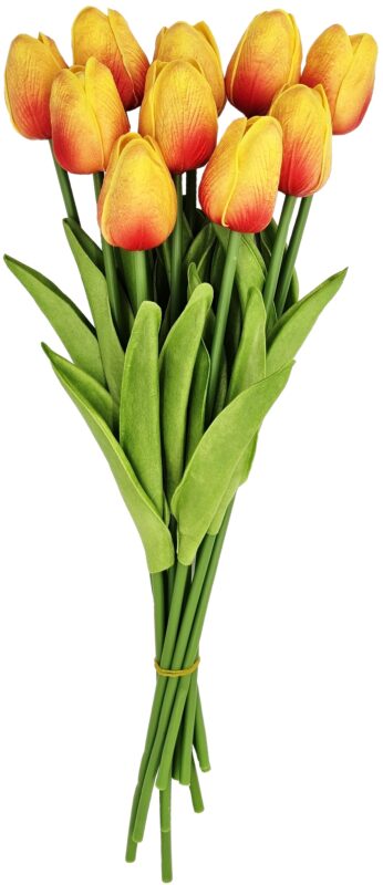 Bukiet Tulipanów x10