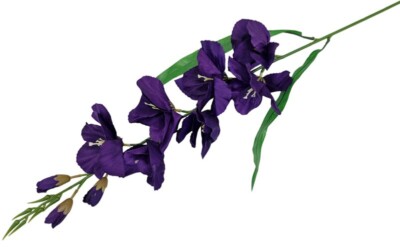 Mieczyk gałązka 80 cm