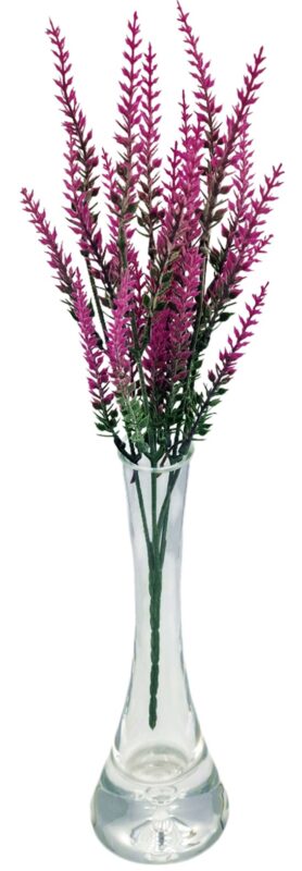 Lawenda fuksja DS031