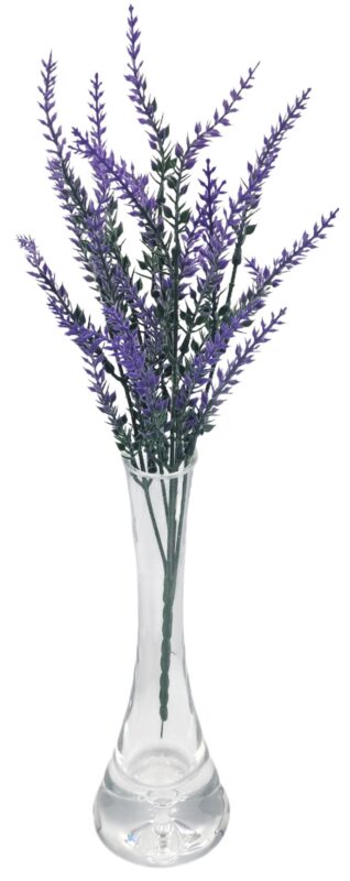 Lawenda fioletowa DS031