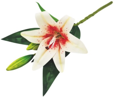 LILIA SYLIKONOWA GAŁĄZKA x1 - krem-róż