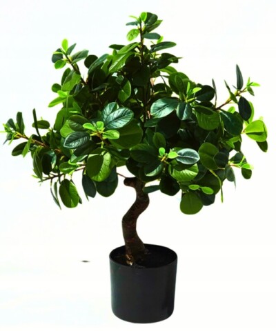 Drzewo Laurowiśnia 70 cm kula sztuczne drzewko