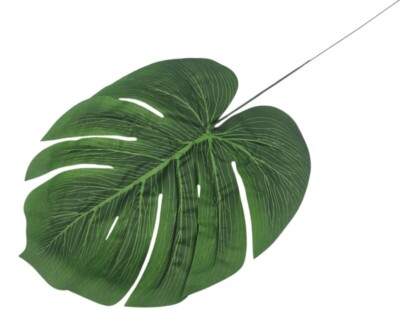 Liść monstera Z03 zestaw 12 sztuk cena za sztukę 1,90