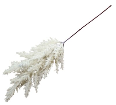 GAŁĄZKA TRAWA PAMPASOWA M104 - 70CM ECRU