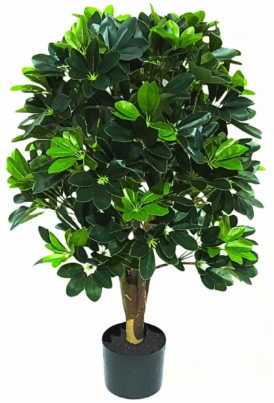 Drzewo Laurowiśnia 80 cm sztuczne drzewko