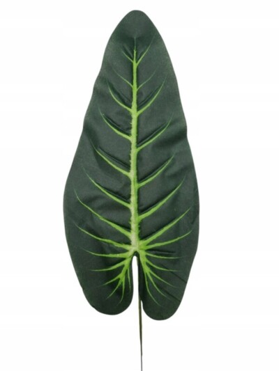 LIŚĆ ANTURIUM 52CM