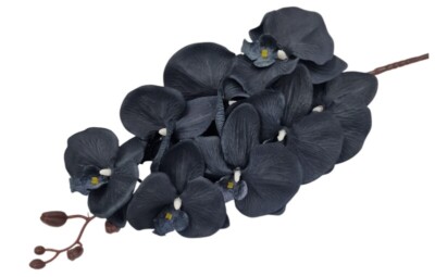 Storczyk czarny orchidea K25 gałązka 105 cm
