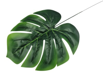 Liść monstera MG01 zestaw 12 sztuk cena za sztukę 2,50 zł