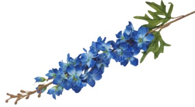 Ostróżka gałązka 85 cm