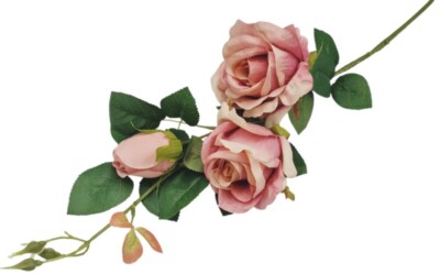 GAŁĄZKA RÓŻY JG1 RÓŻOWA