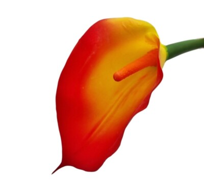 Calla YW-b008 żółto-pomarańczowa
