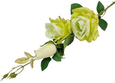 Gałązka róży JG1 limonka