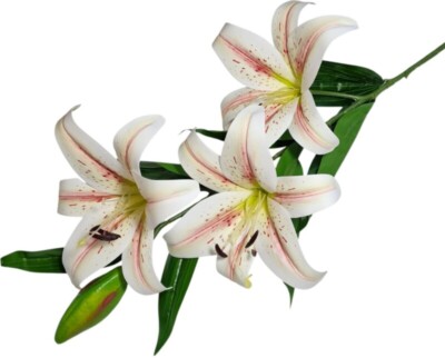 Lilia sylikon gałązka 100cm