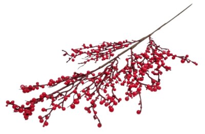 GAŁĄZKA JARZĘBINA 259153-11