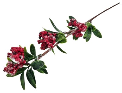 GAŁĄZKA ŚWIĄTECZNA 259153-12