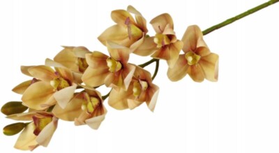 Storczyk orchidea gałązka 75 cm 10 kwiatów