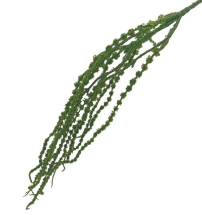 Dekoracyjna gałązka wisząca amarantus ME25380 zielona 80 cm