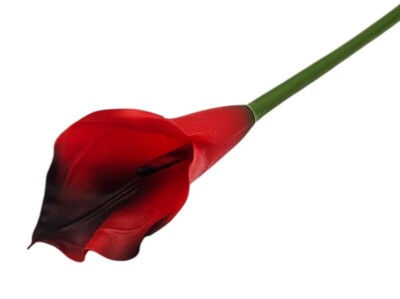 Calla ME2597-38 czerwono-czarna
