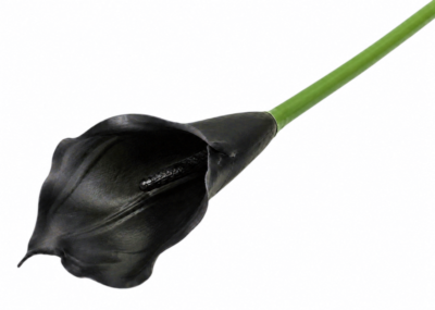 Calla ME2597-38 czarna