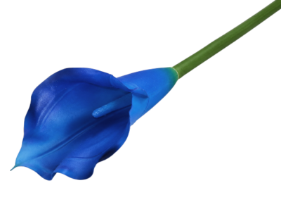 Calla ME2597-38 niebieska